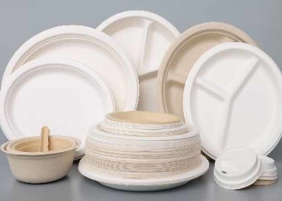 Sustainable Paper Pulp Tableware Eco-Friendly Disposable Tableware