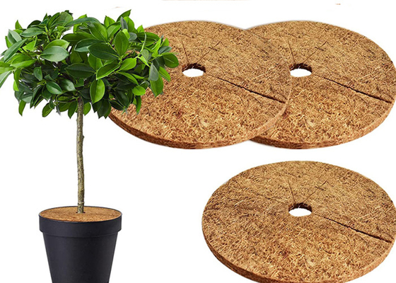 100% Natural Coconut Fibers Round Mulch Ring For Garden