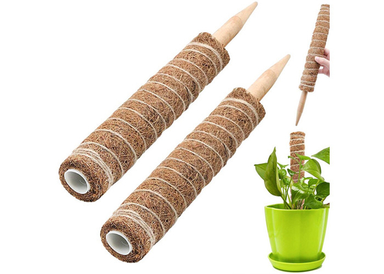 Climbing Plants Coconut Coir Poles For Plant Growth
