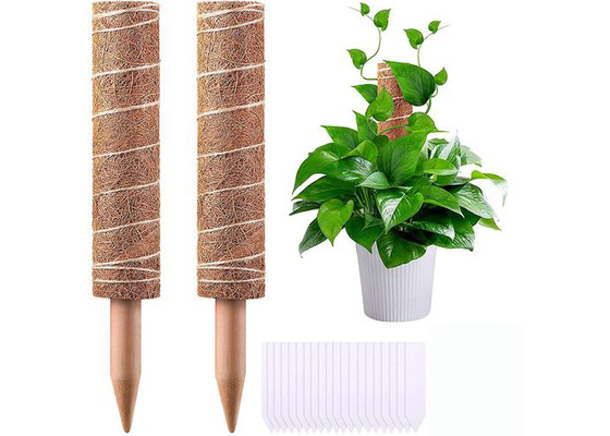 Climbing Plants Coconut Coir Poles For Plant Growth