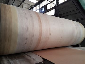 BHS, FOSBER, MARQUIP를 위한 Aramid 가장자리 골판지 제조기 벨트 높은 내구성은 선을 주름을 잡았습니다